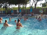 Foto #40 van Camping LA PRESQU’ILE DE GIENS