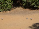 Foto #46 van Camping LA PRESQU’ILE DE GIENS