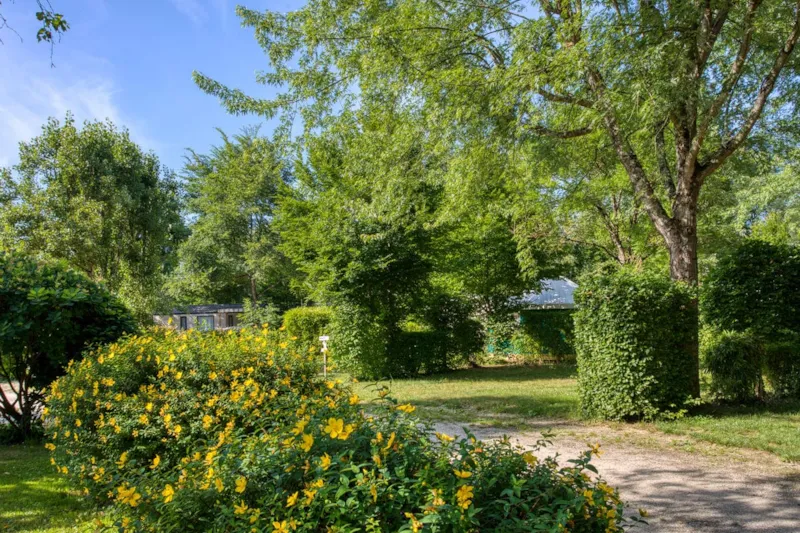Emplacement Nature : 2 Personnes + Véhicule (Voiture, Caravane, Van Ou Camping-Car)