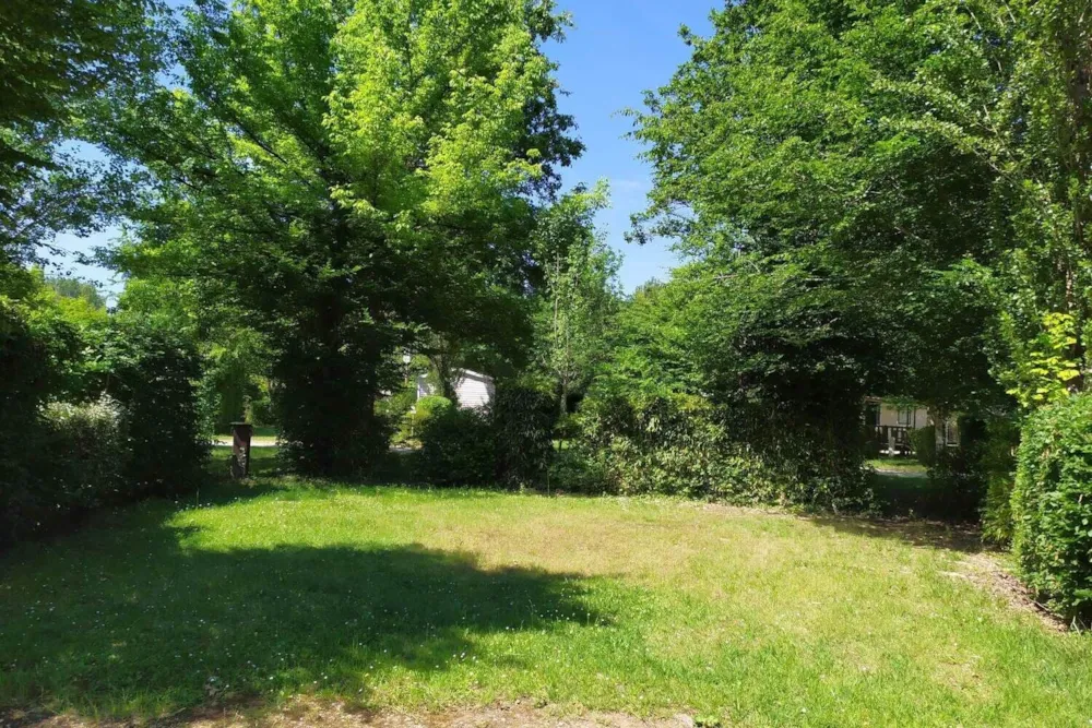 Naturstellplatz: 2 Personen + Fahrzeug (Auto, Wohnwagen, Van Oder Wohnmobil)