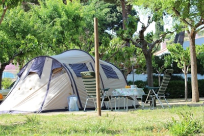 Plus pitch: (1 car + tent  / 1 car + caravan / camping-car) + electricity — 1
