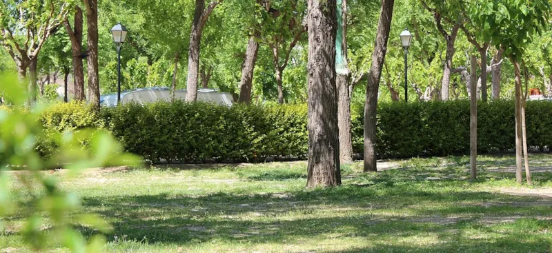 Plus Emplacement + 1 Voiture + Tente, Caravane Ou Camping-Car + Électricité