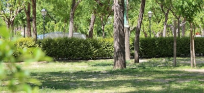Plus pitch: (1 car + tent  / 1 car + caravan / camping-car) + electricity — 5