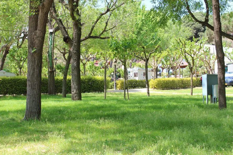 Plus Emplacement + 1 Voiture + Tente, Caravane Ou Camping-Car + Électricité