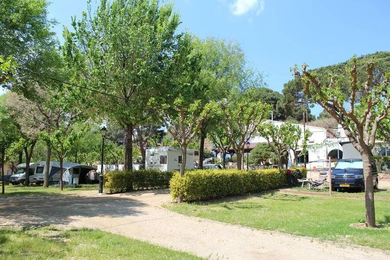 Plus Emplacement + 1 Voiture + Tente, Caravane Ou Camping-Car + Électricité