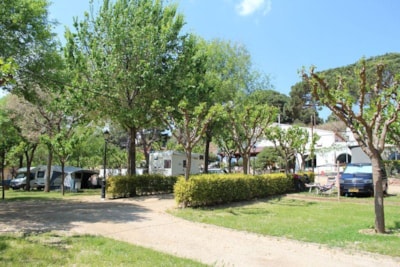 Plus pitch: (1 car + tent  / 1 car + caravan / camping-car) + electricity — 4