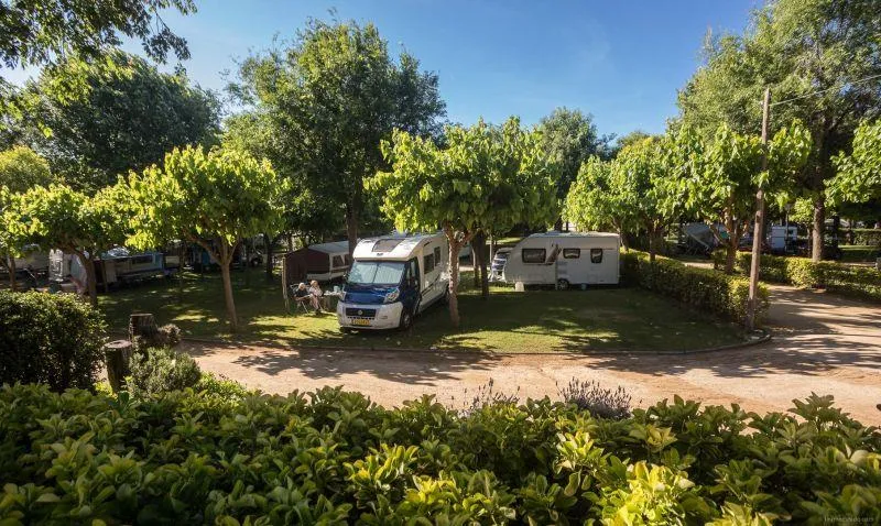 Standard Emplacement + 1 Véhicule + Tente