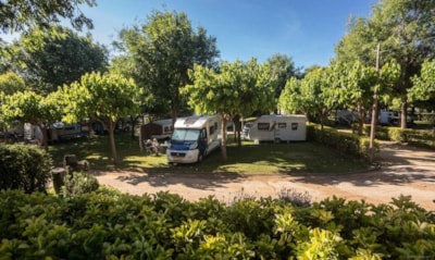 Standard Pitch + 1 vehicle + tent — 3
