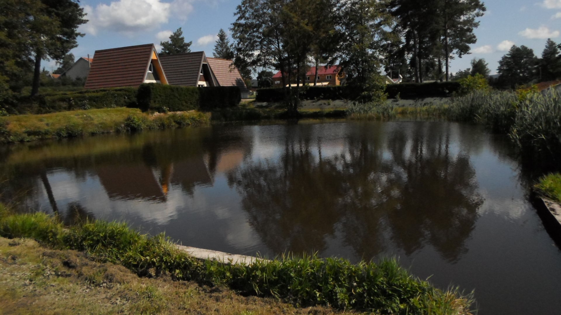 Camping Les Pinasses — Foto 1