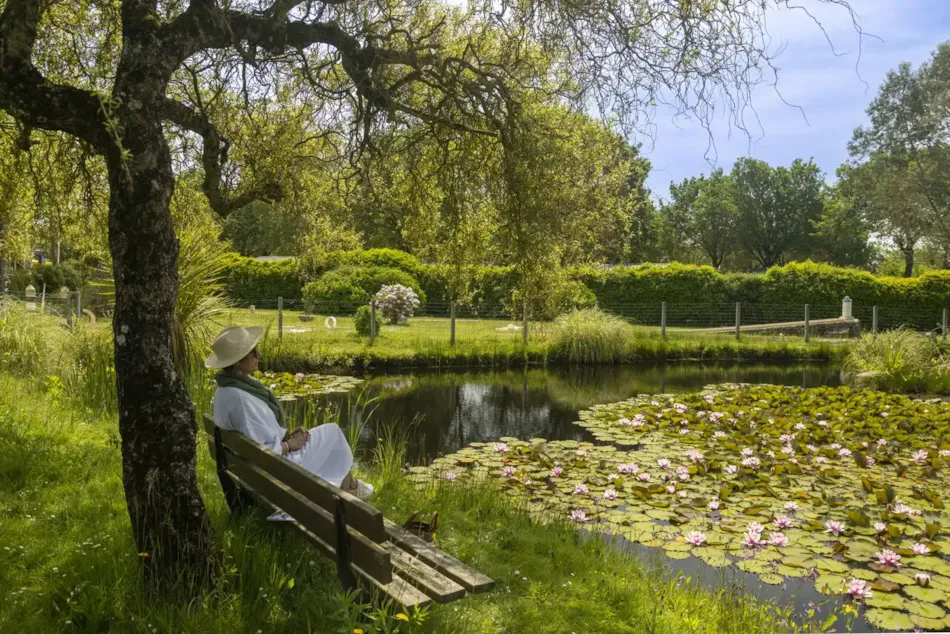 Clico Chic - La Baie de Douarnenez