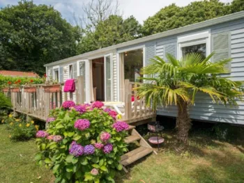 Mietunterkunft - Mobilheim Sun + Top Tv - 35-40M² - 2 Schlafzimmer - - Clico Chic - La Baie de Douarnenez