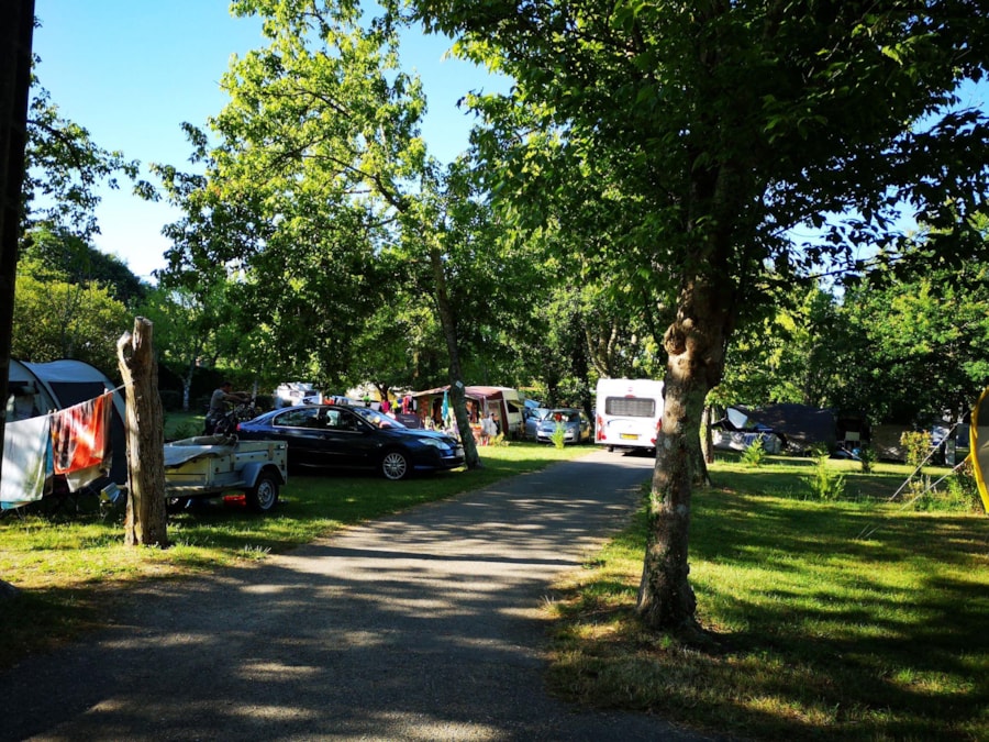 Emplacement ombragé du camping Landes Bleues