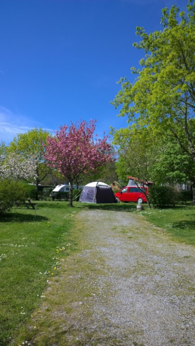 Pitch + car + tent or caravan — 4