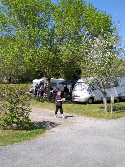 Pitch + car + tent or caravan — 5