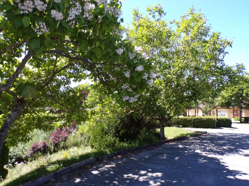 Emplacement Nu, 1 Voiture, 1 Tente/Caravane