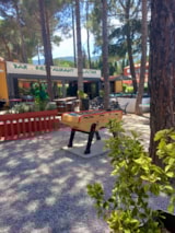 Foto #9 van Domaine des Mimosas