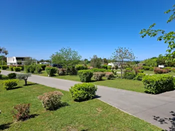 Stellplatz - Stellplatz + Auto - Domaine des Mimosas