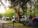 Foto #2 van Camping Internazionale Castelfusano