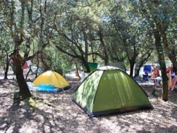Parcela - Parcela Tienda - Camping Internazionale Castelfusano