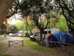 Parcela - Parcela Por Caravana - Camping Internazionale Castelfusano