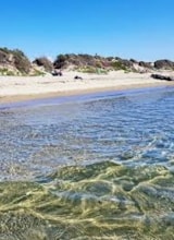 Foto #17 van Camping Internazionale Castelfusano