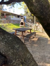 Foto #4 van Camping Internazionale Castelfusano