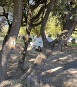 Foto #5 van Camping Internazionale Castelfusano