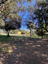 Foto #6 van Camping Internazionale Castelfusano