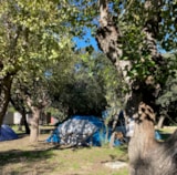 Foto #9 van Camping Internazionale Castelfusano