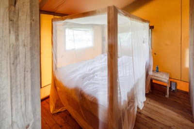 Safari Tent Woody