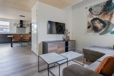 Holiday home de Zilverreiger with sauna