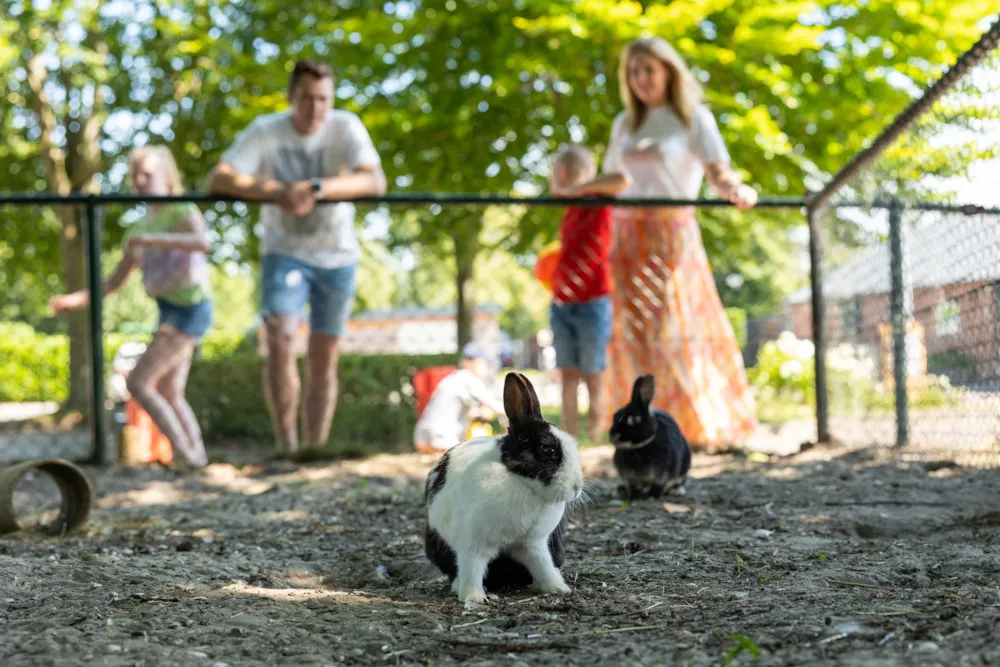 RCN Vakantiepark Zeewolde