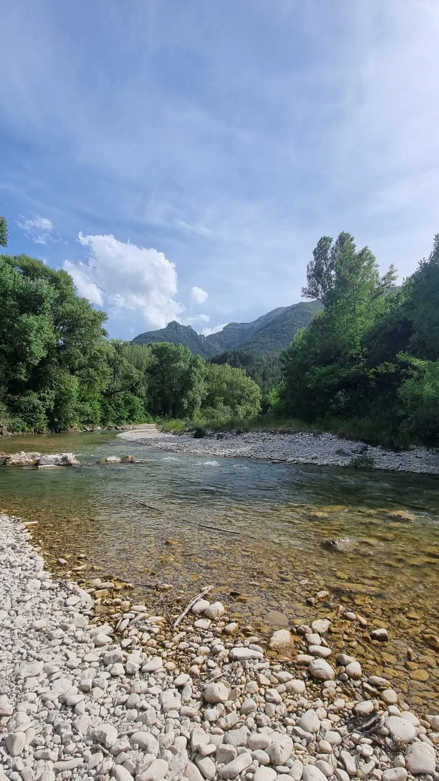 Flower Camping la Pinède