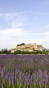 Foto #48 van Flower Camping la Pinède