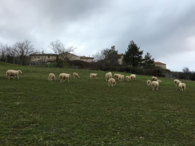 Holiday Home Gite Rural