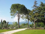 Foto #3 van Fornella Camping & Wellness Family Resort