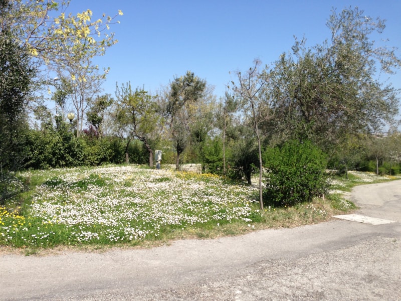 Pitch tent, camper or caravan