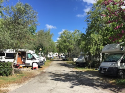 Pitch tent, camper or caravan