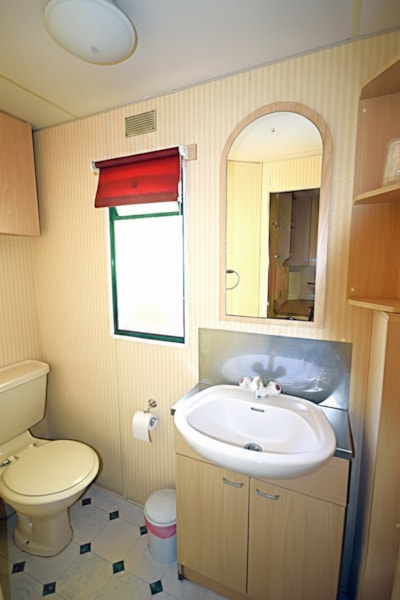 Mobile Home Vintage