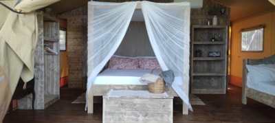 Tree Lodge