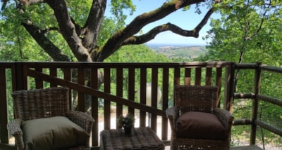 Tree Lodge - Adults only