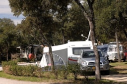 Camping du Domaine de Massereau - image n°7 - Roulottes