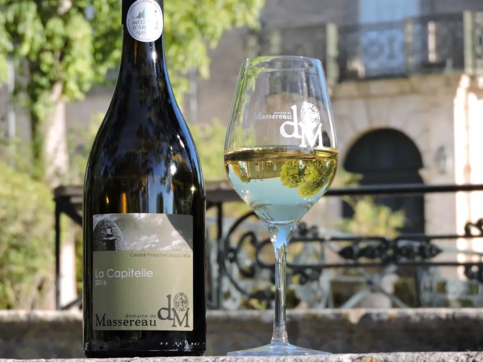 Camping Marvilla Parks - Domaine de Massereau