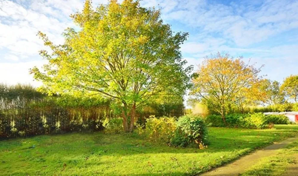 Emplacement - Emplacement Confort - 120 M² - Camping Marvilla Parks - Domaine de Massereau