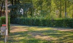 Stellplatz - Stellplatz Confort - 100 M² - Homair-Marvilla – Camping du Domaine de Massereau