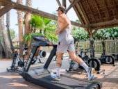 SANDAYA - DOMAINE DU COLOMBIER