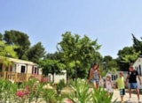 Villa Con Aria Condizionata Villa Con Aria Condizionata