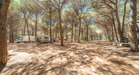 Alannia Neptuno - image n°3 - Camping Direct