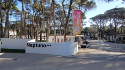 Alannia Neptuno