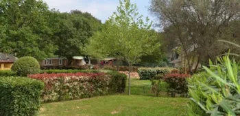 Stellplatz - Stellplatz Confort + Fahrzeug  Strom 10A - Campasun Camping Mas de Pierredon
